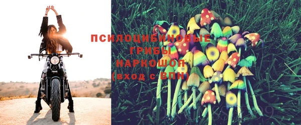 бошки Каменка